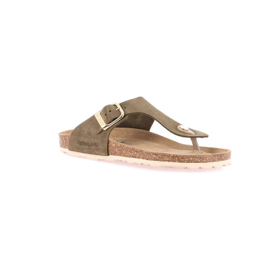 gid://shopify/Product/15752466989388_57513838248268