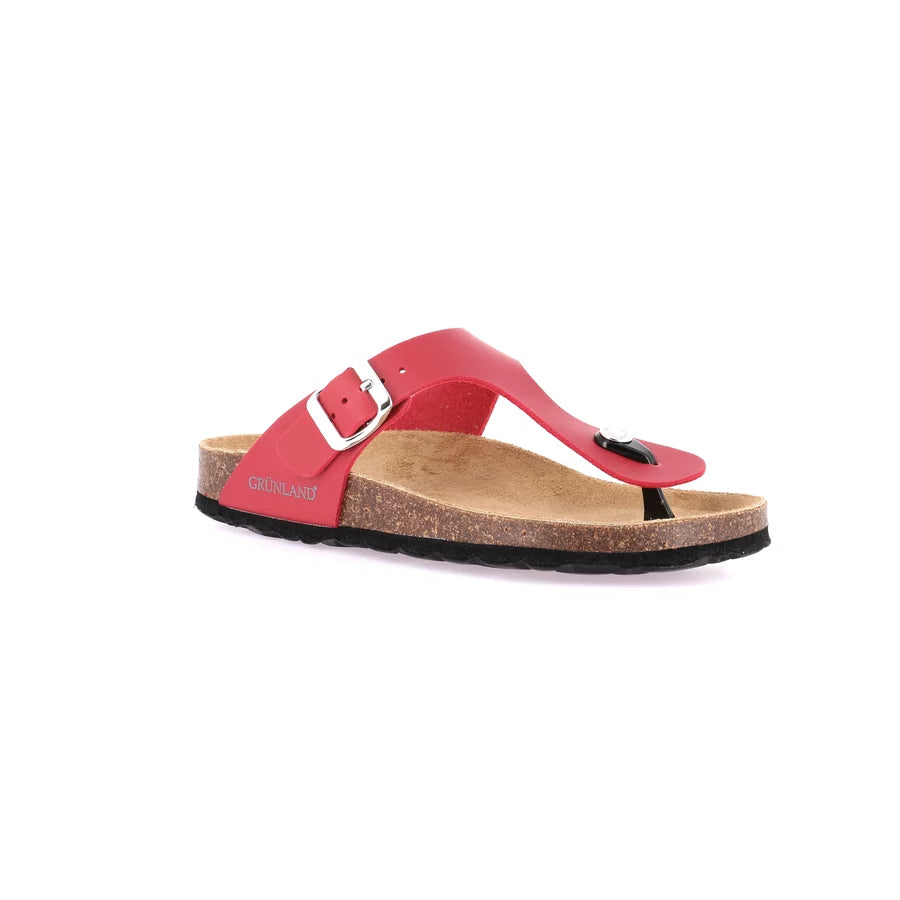 gid://shopify/Product/15751410680140_57508636000588