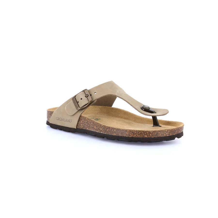 gid://shopify/Product/15754386571596_57519562621260