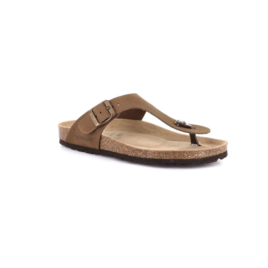 gid://shopify/Product/15754386571596_57519562850636