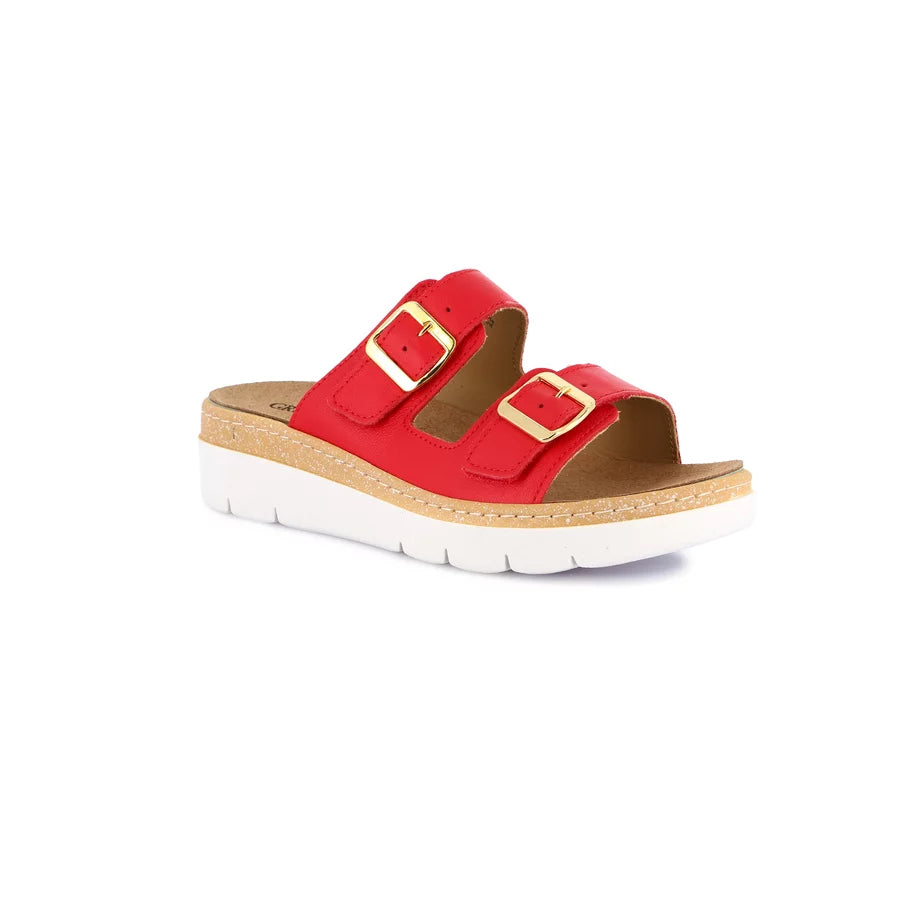 gid://shopify/Product/15752529740108_57514219012428