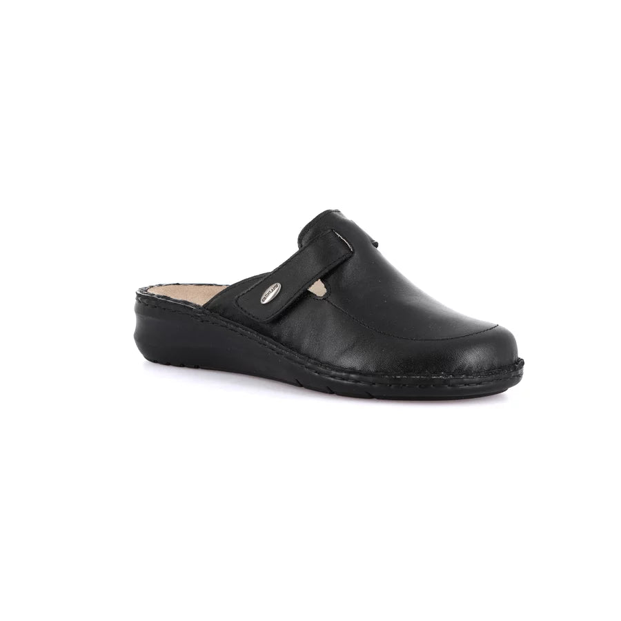gid://shopify/Product/15711625904460_57336422039884
