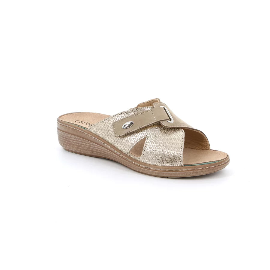 gid://shopify/Product/15711929696588_1