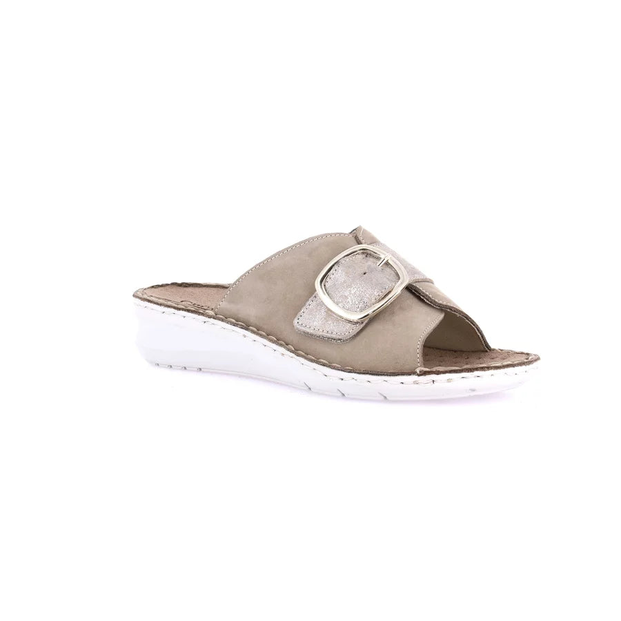 gid://shopify/Product/15712047923532_1