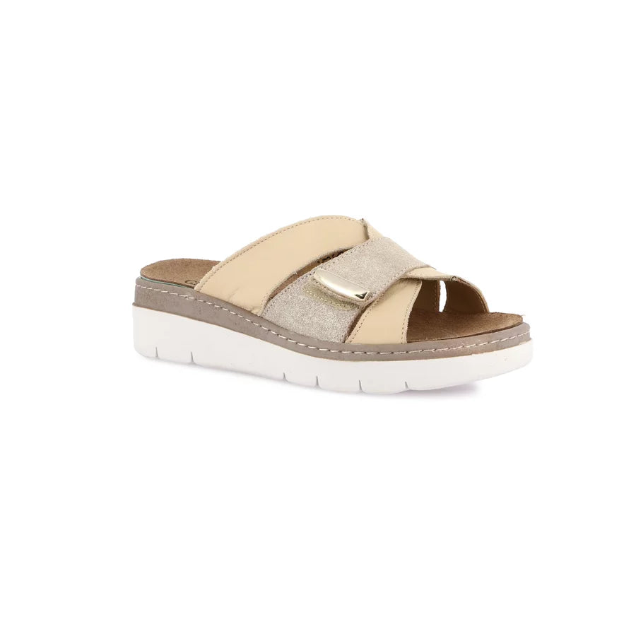 gid://shopify/Product/15754078224716_57518910144844