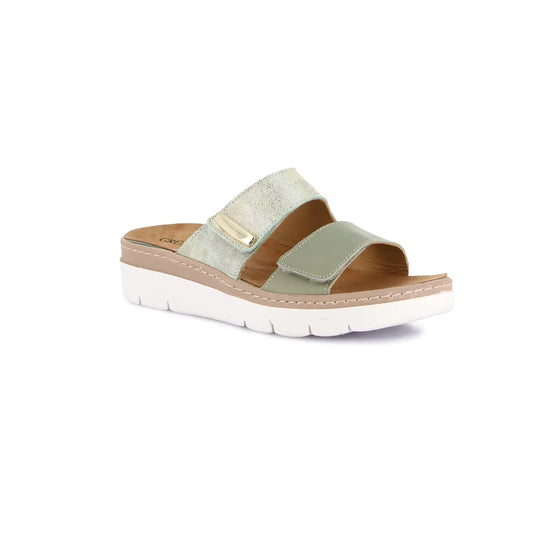 gid://shopify/Product/15754392109388_57519570256204