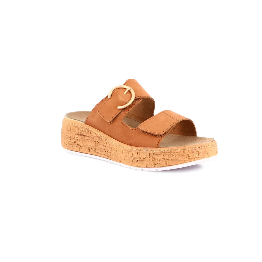 gid://shopify/Product/15712119259468_57339399307596