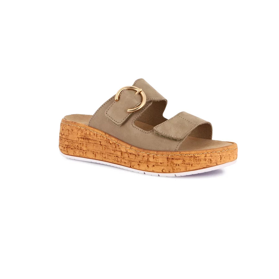 gid://shopify/Product/15712119259468_57339400421708
