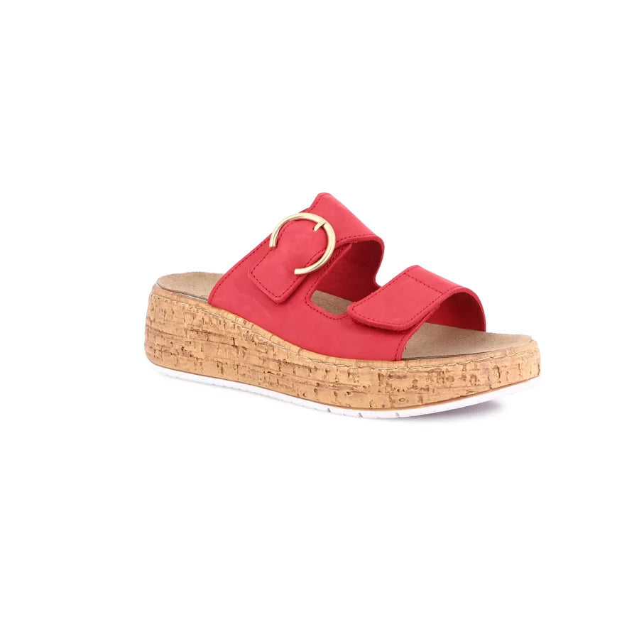 gid://shopify/Product/15712119259468_1