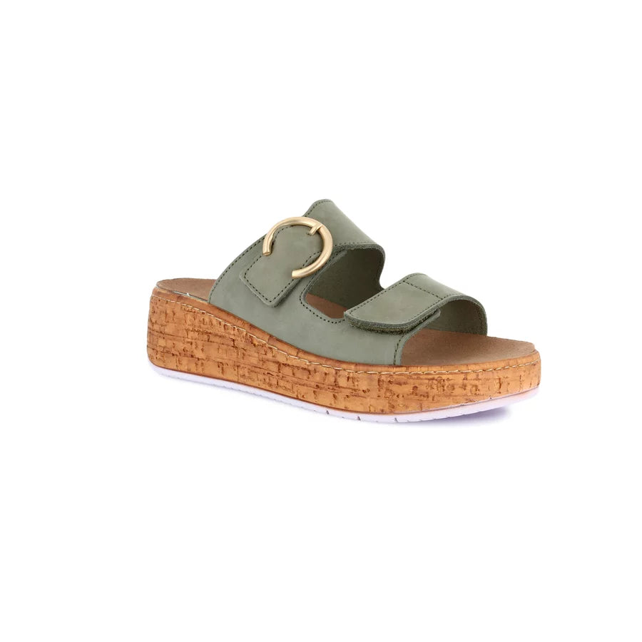 gid://shopify/Product/15712119259468_57339400618316