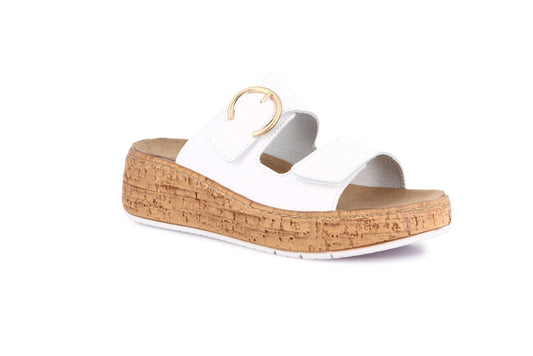 gid://shopify/Product/15712119390540_57719202152780