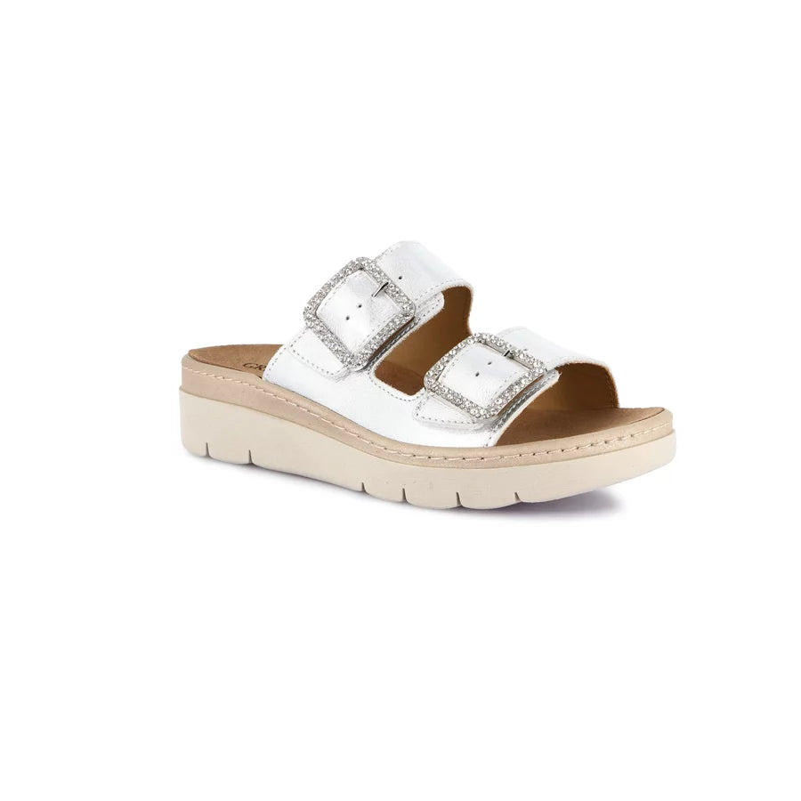 gid://shopify/Product/15712372162892_1