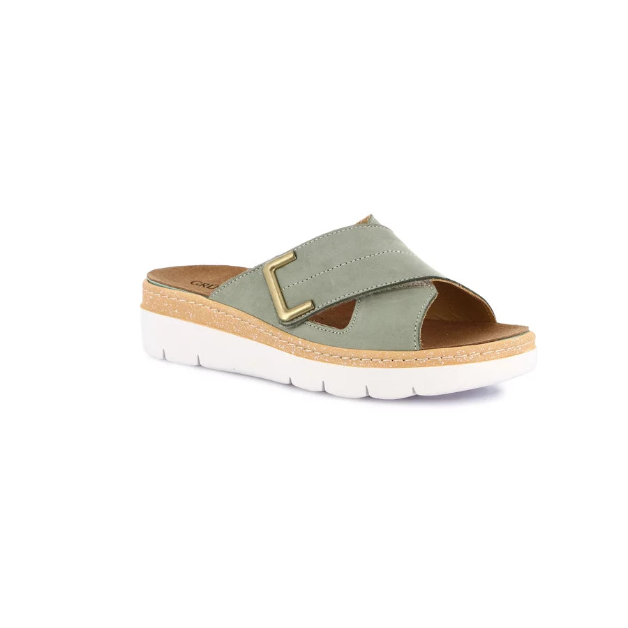 gid://shopify/Product/15754050208076_57518860468556