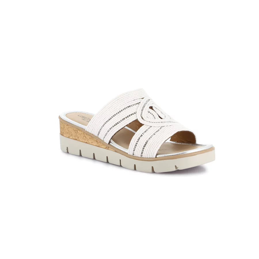 gid://shopify/Product/15754116464972_57518999339340