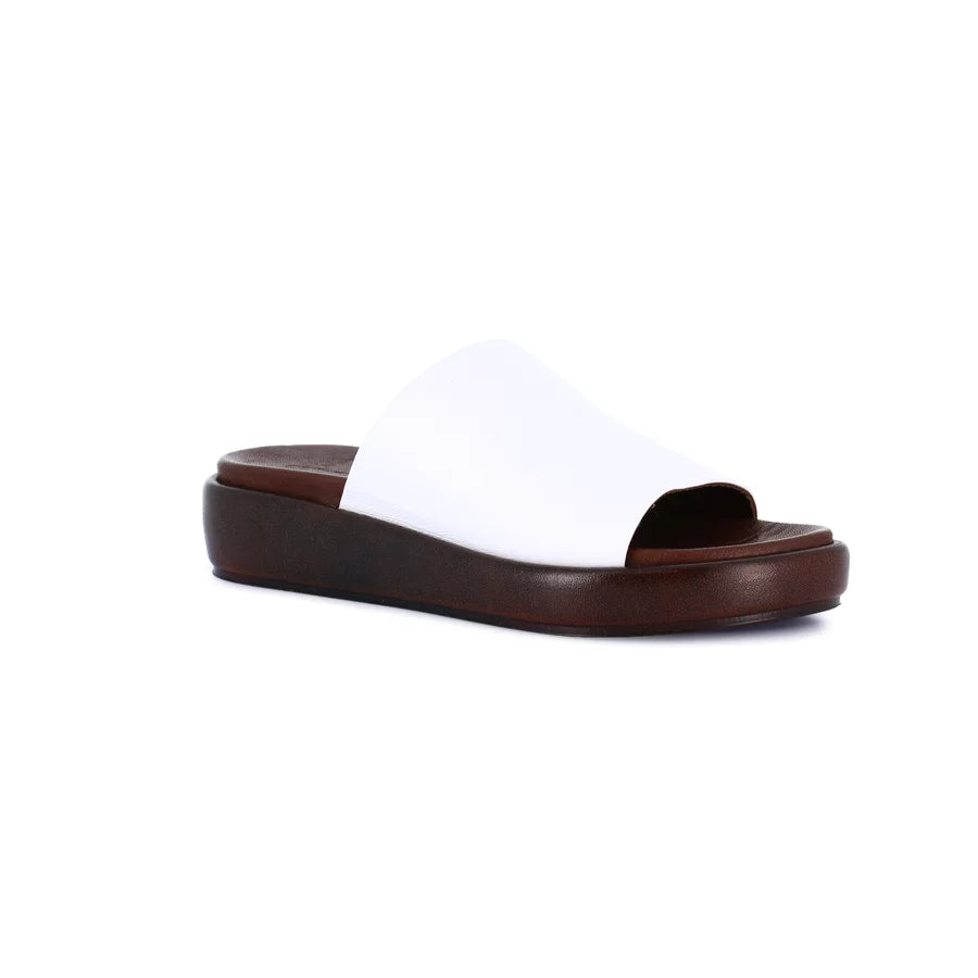 gid://shopify/Product/16104209514828_58816560529740