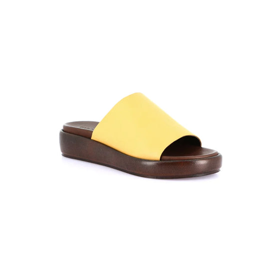 gid://shopify/Product/16104209514828_58816574587212
