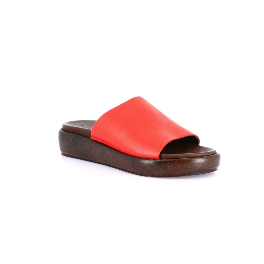 gid://shopify/Product/16104209514828_1
