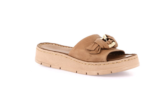 gid://shopify/Product/15798256107852_57721853641036