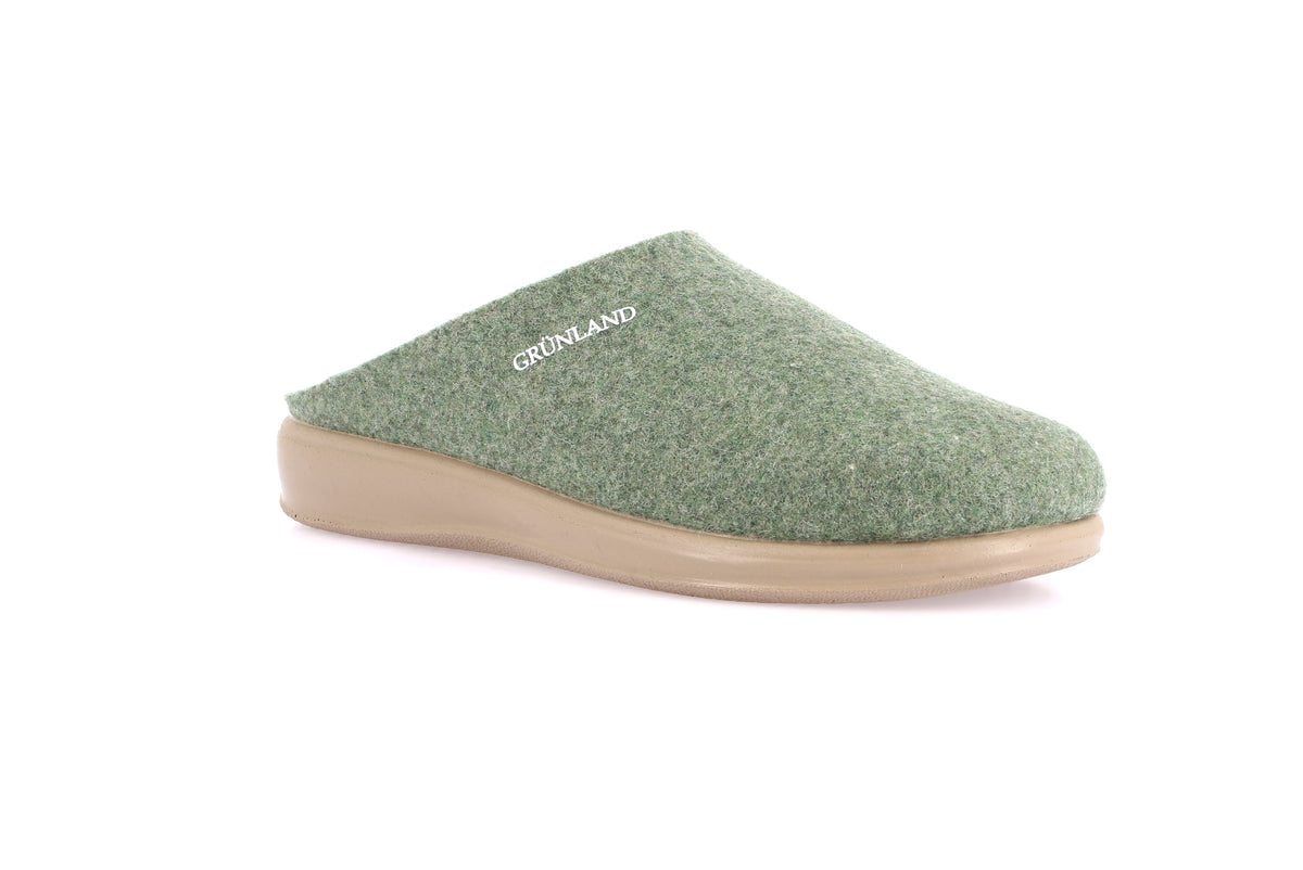 gid://shopify/Product/15711573541196_58813929652556