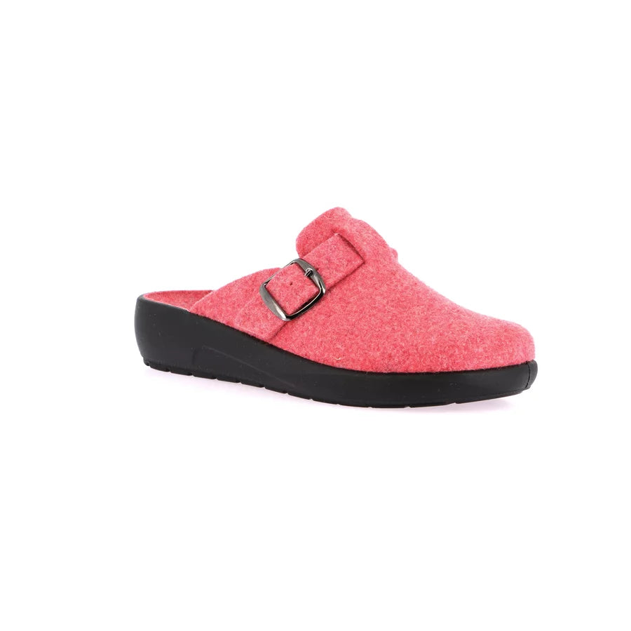 gid://shopify/Product/15712035111244_57339051278668