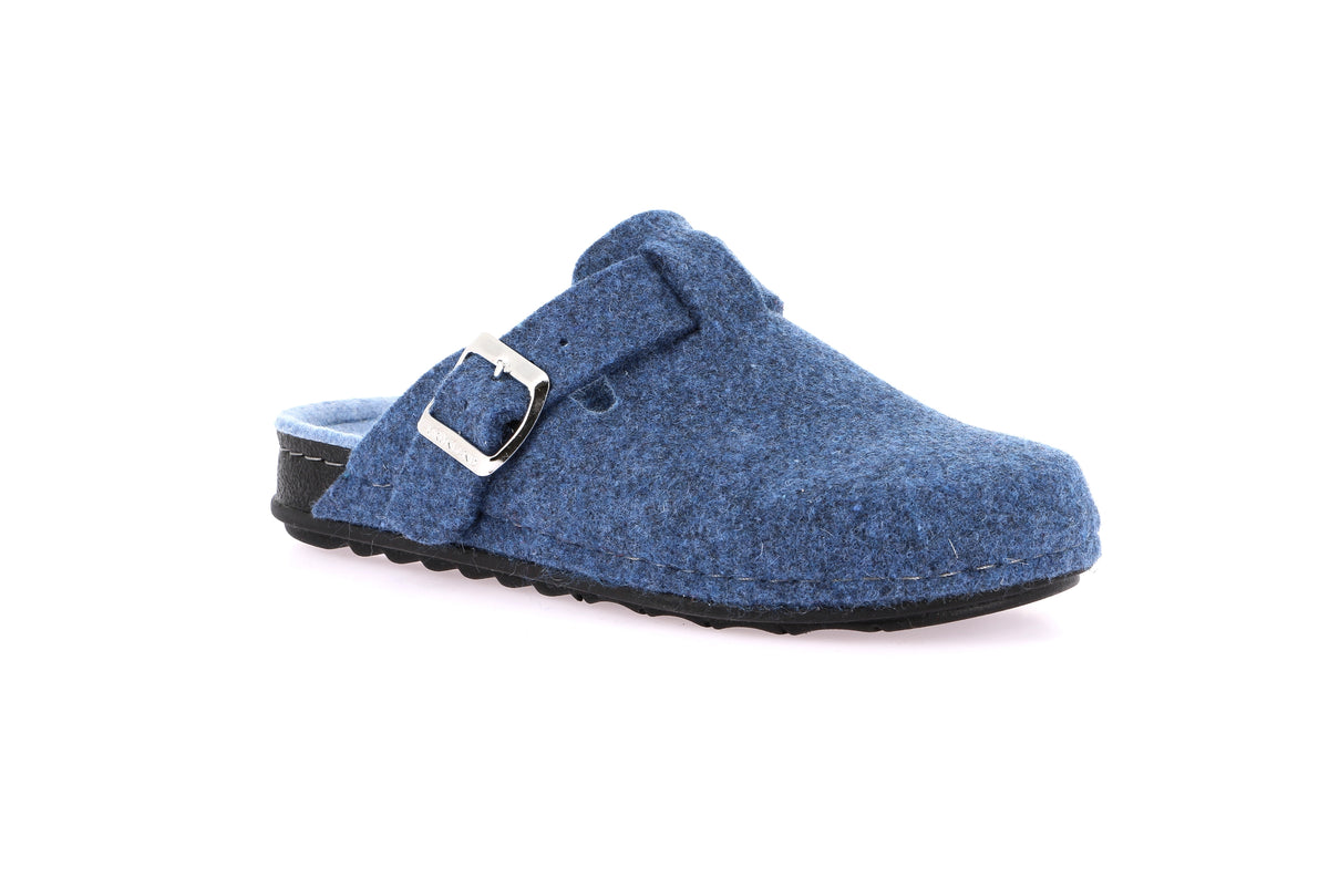 gid://shopify/Product/15686330024268_58815845269836
