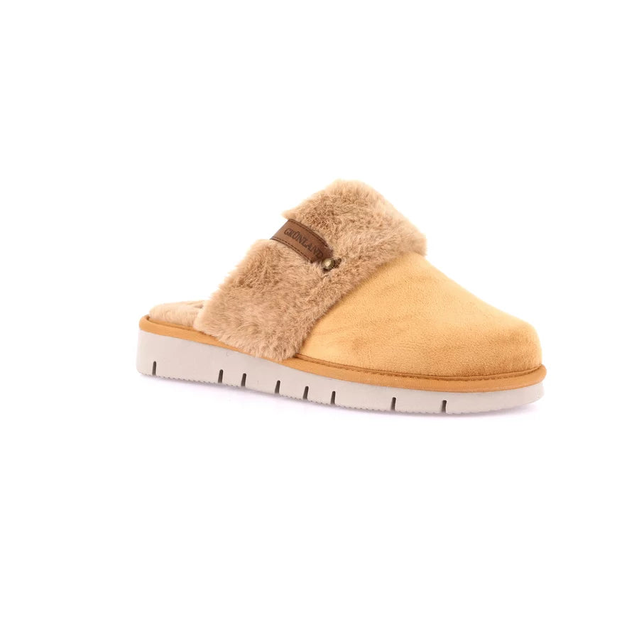 gid://shopify/Product/15711559942476_57336127029580