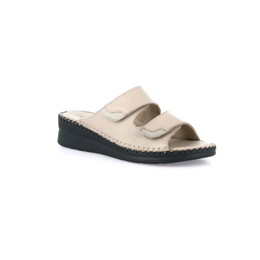 gid://shopify/Product/15712423215436_57340216836428