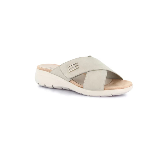 gid://shopify/Product/15712427999564_57340247179596