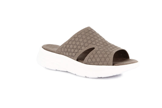gid://shopify/Product/15754930028876_57521002905932