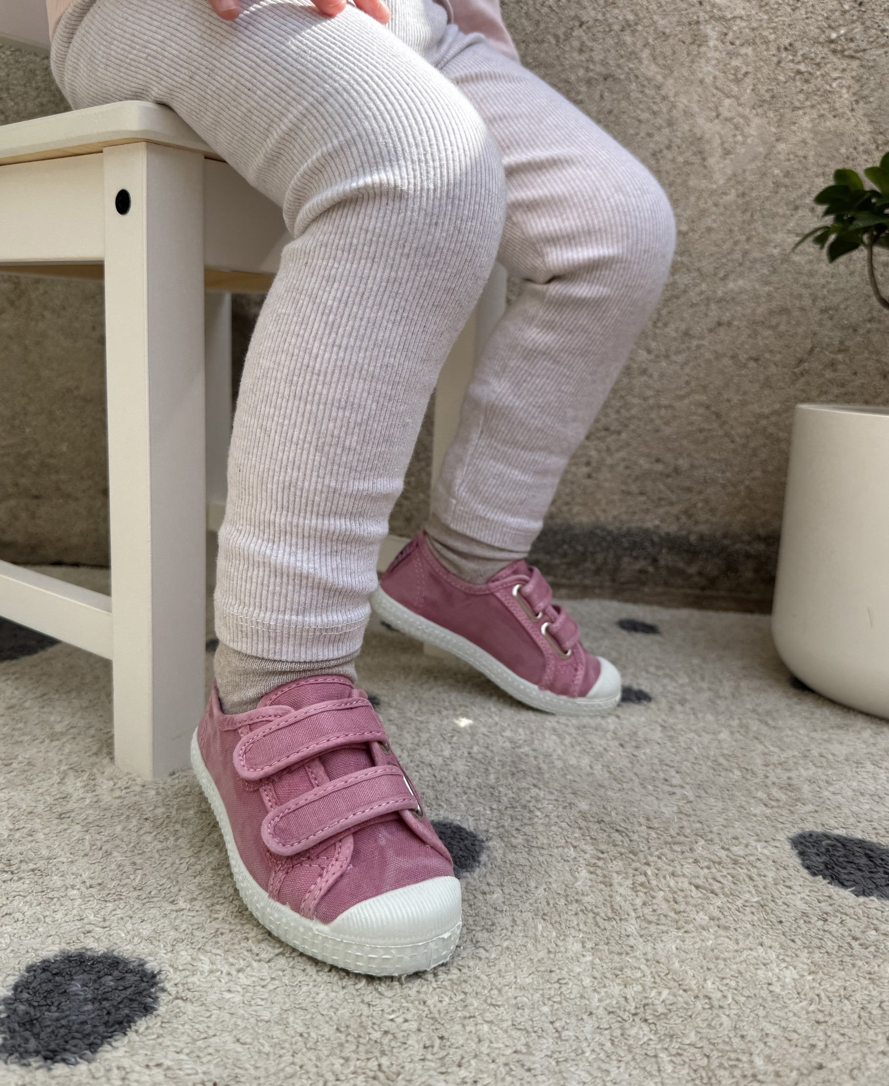 gid://shopify/Product/15739715518796_2