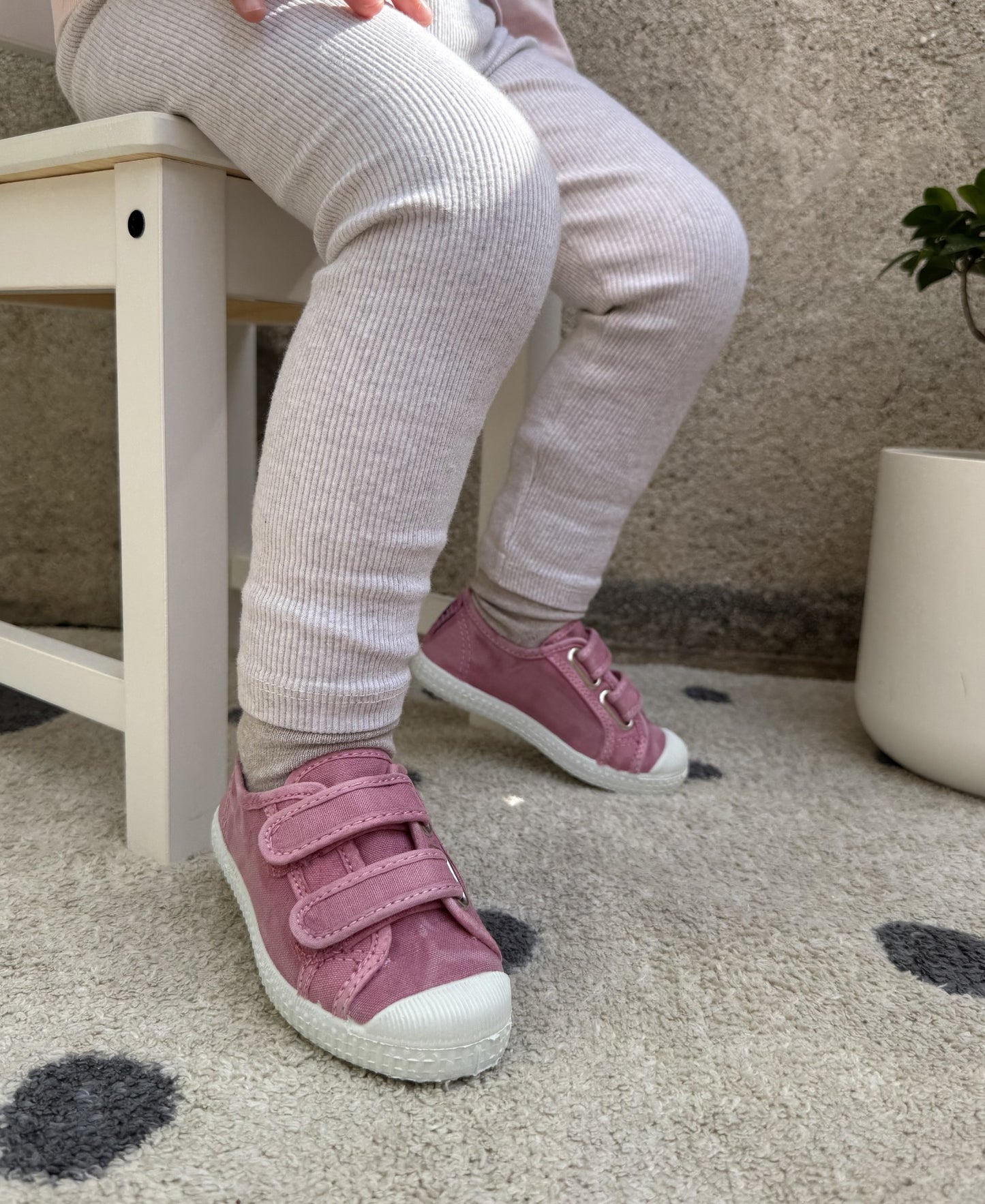 gid://shopify/Product/15739715518796_2
