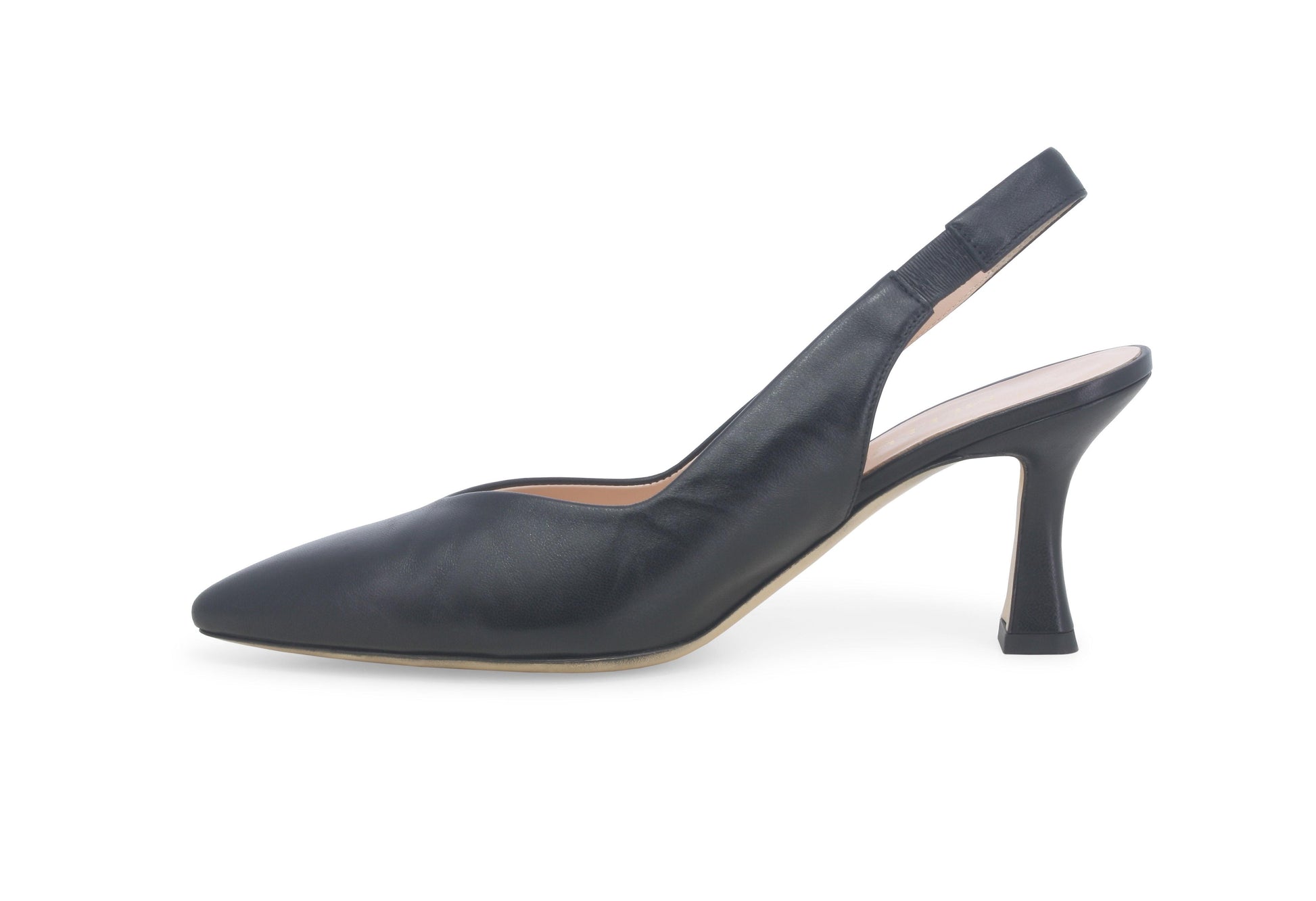 gid://shopify/Product/15685618663756_4