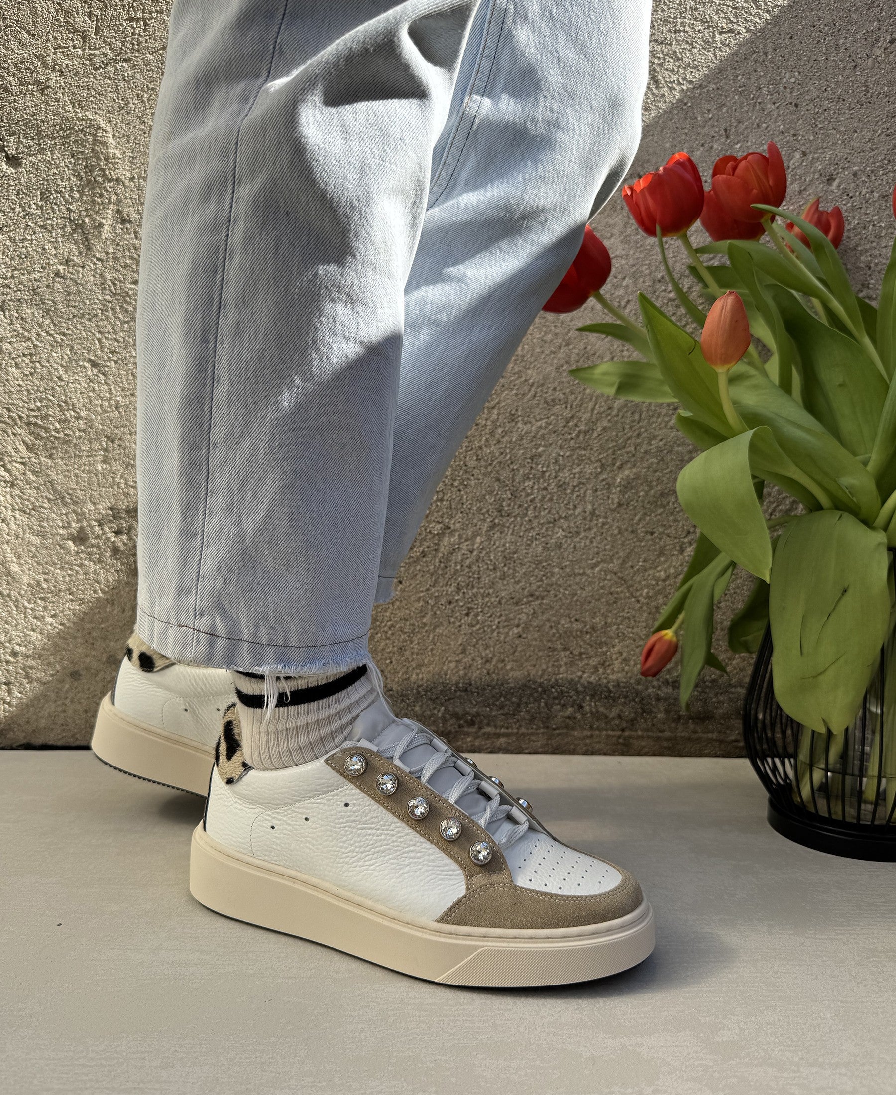 gid://shopify/Product/15740198289740_2
