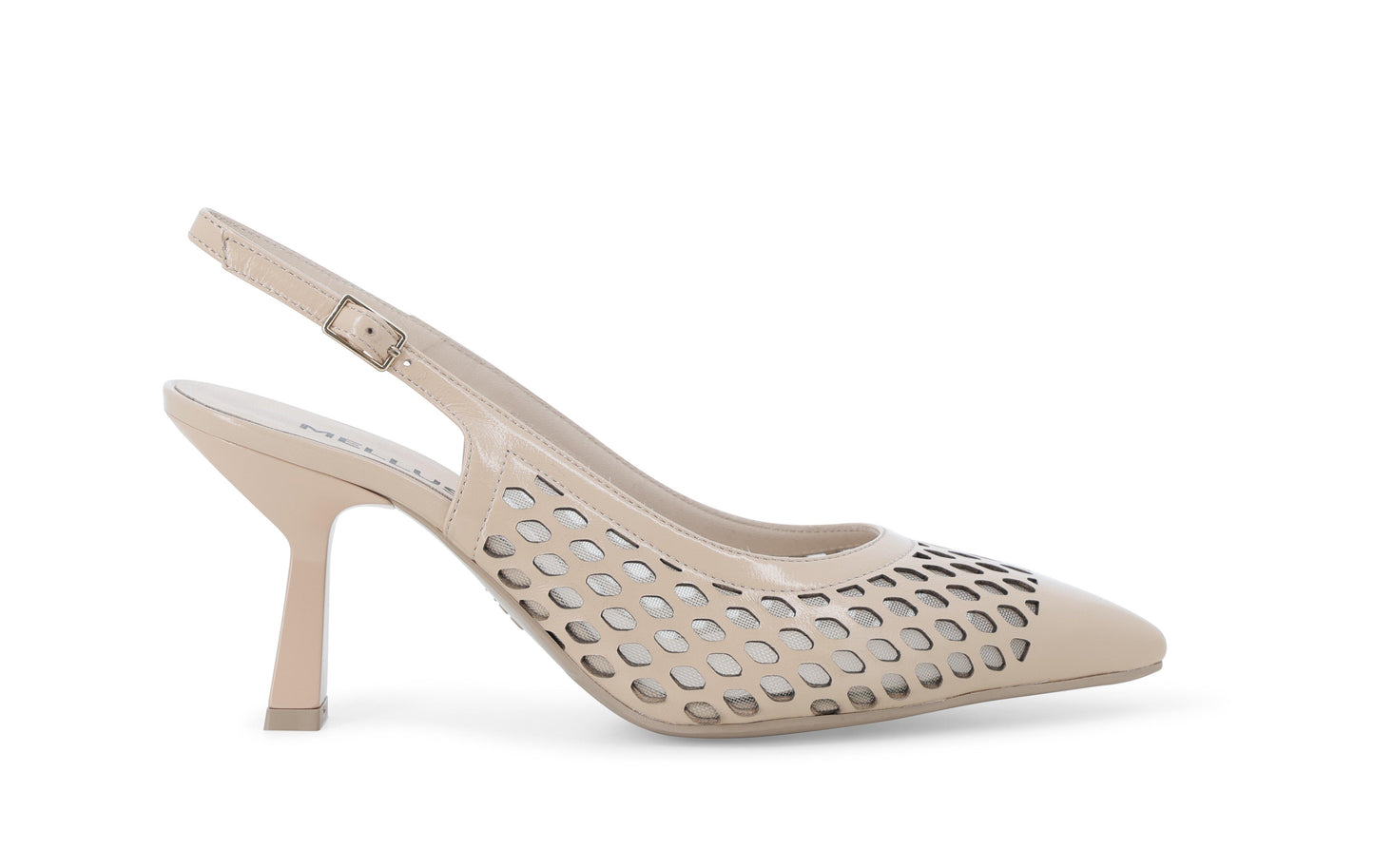 gid://shopify/Product/15686316622156_1