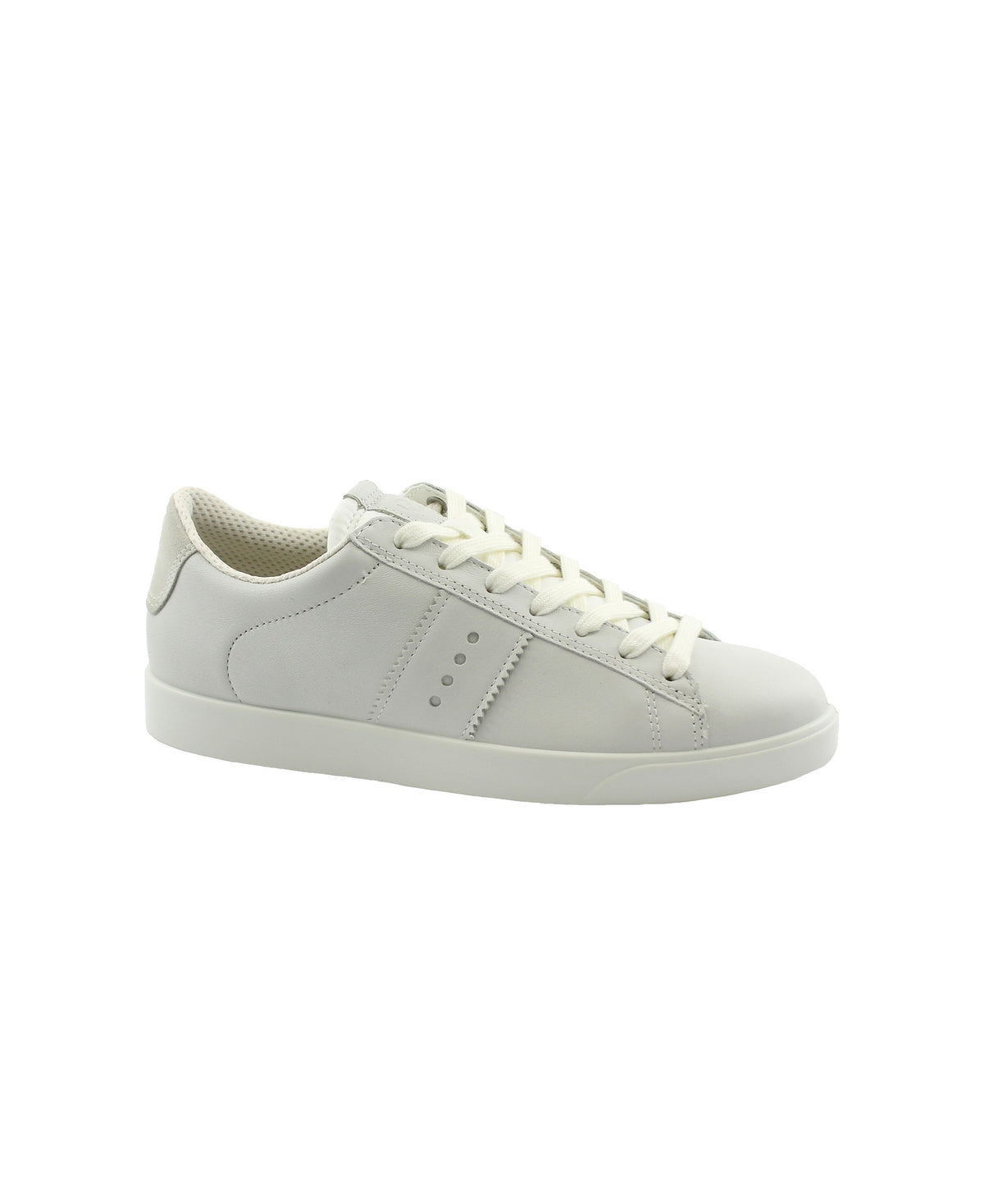 gid://shopify/Product/15740209037644_1