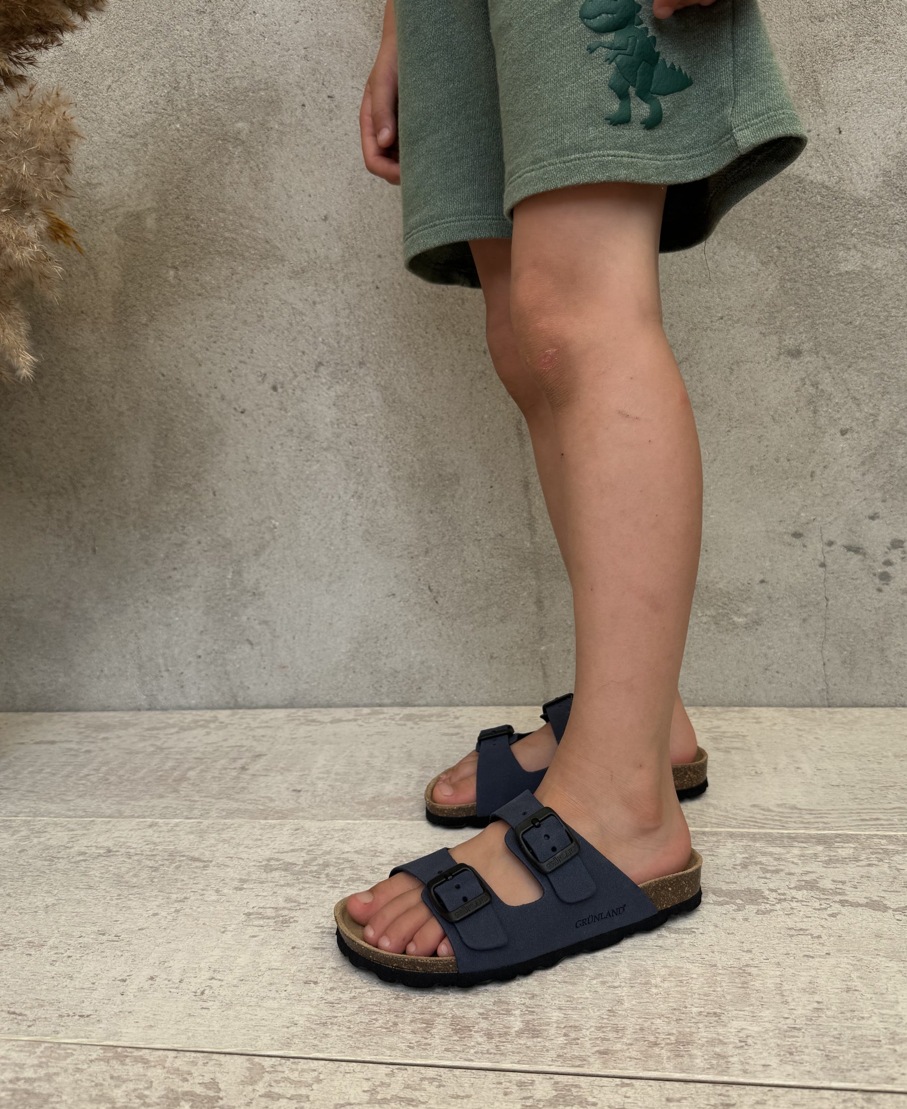 gid://shopify/Product/15737653592396_2