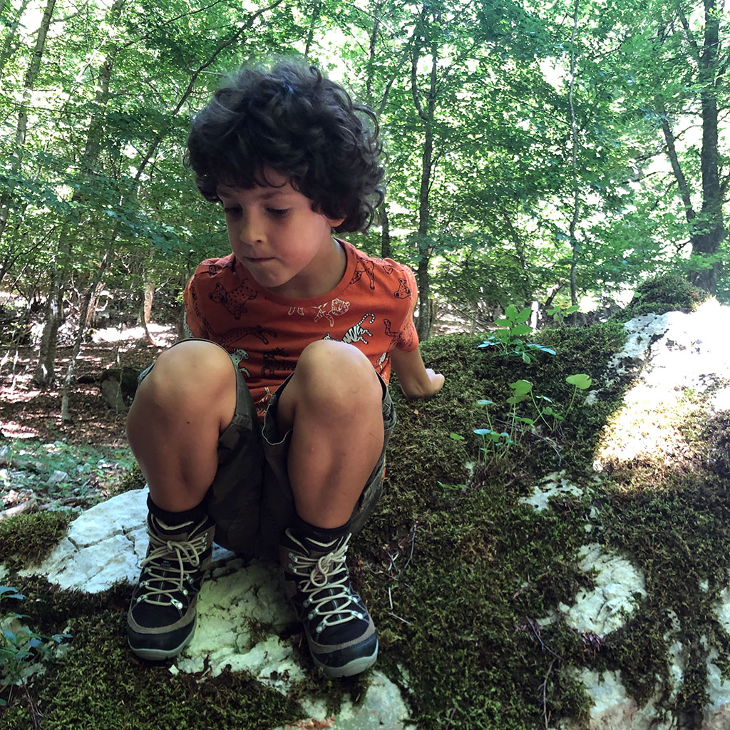 gid://shopify/Product/15702393160012_3