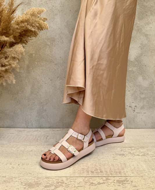 gid://shopify/Product/15740230402380_2