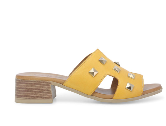 gid://shopify/Product/15761210704204_1