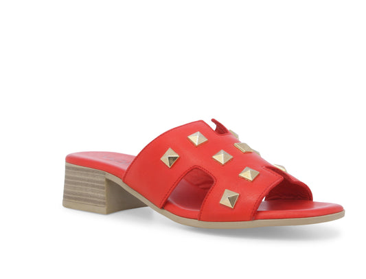 gid://shopify/Product/15761212703052_2