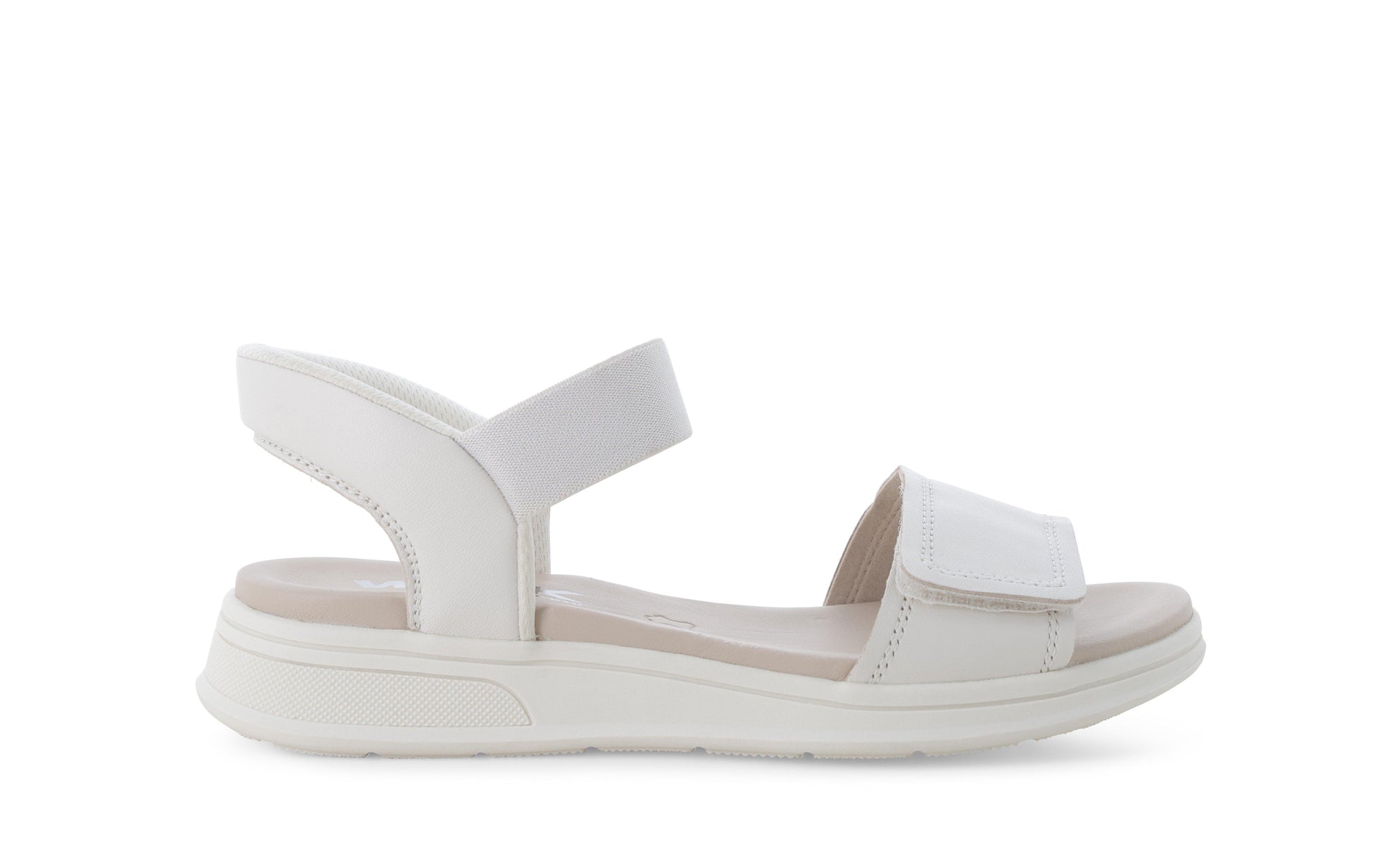 gid://shopify/Product/15761223319884_1