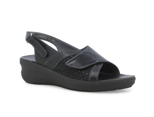 gid://shopify/Product/15761224106316_2