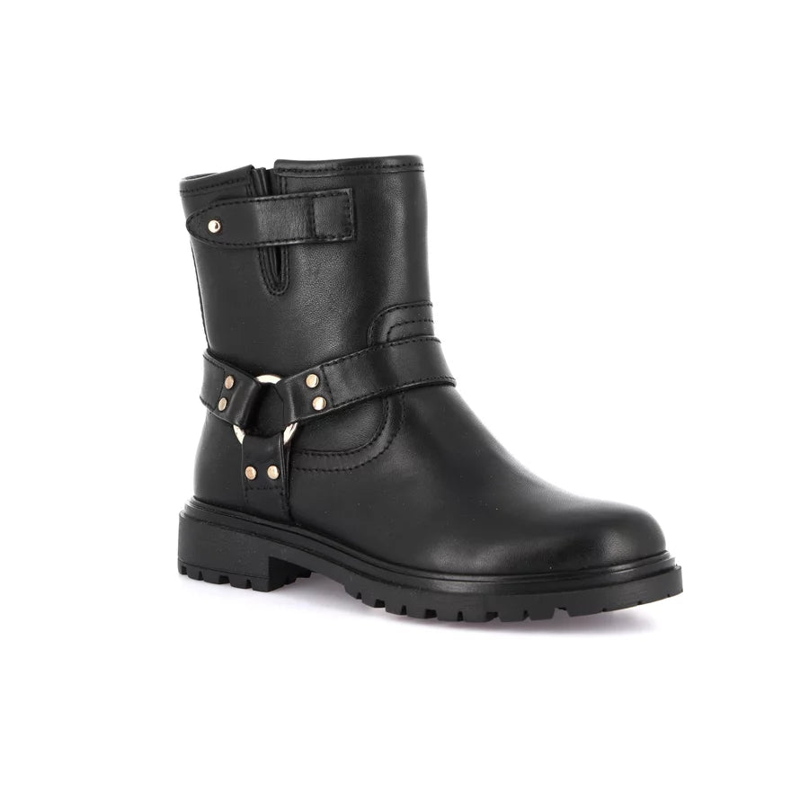 gid://shopify/Product/16104993259852_58817906180428