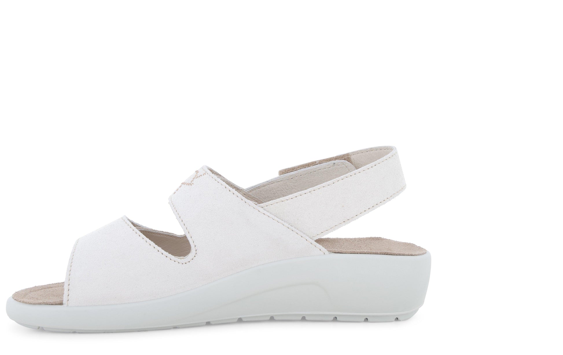 gid://shopify/Product/15761226727756_4