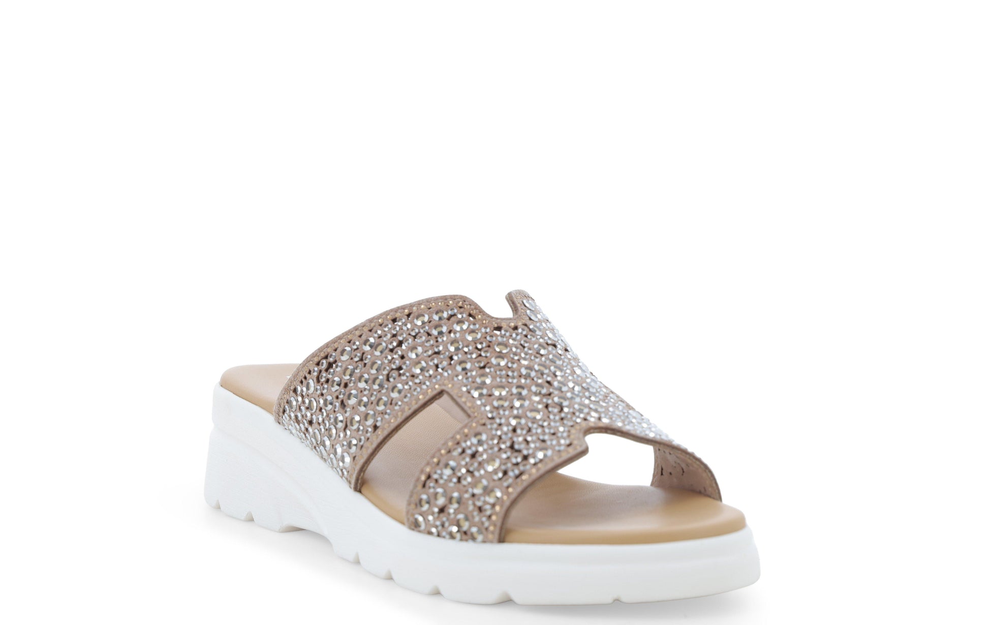 gid://shopify/Product/15761147625804_2