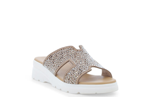 gid://shopify/Product/15761147625804_2