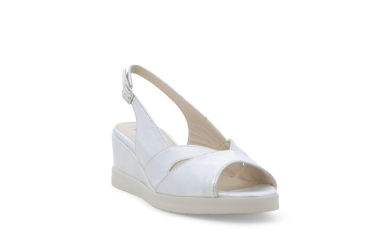 gid://shopify/Product/15761162109260_2