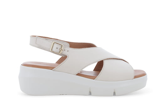 gid://shopify/Product/15761166106956_1