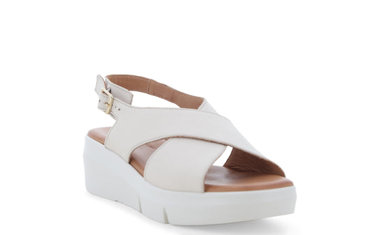 gid://shopify/Product/15761166106956_2