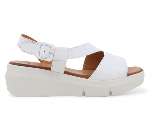 gid://shopify/Product/15761173283148_1